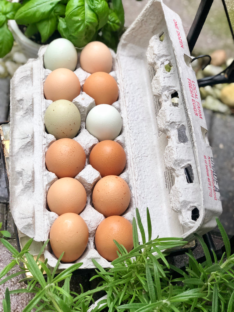 Why Eggs are the Ultimate Health and Fitness Food